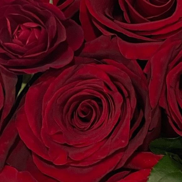 Meet your Posher, - Picture 1 of 1